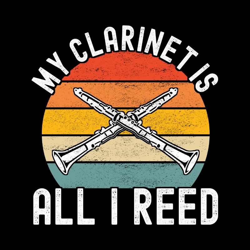 Clarinet Wind Instrument Clarinet player