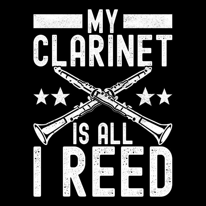 Clarinet Wind Instrument Clarinet player
