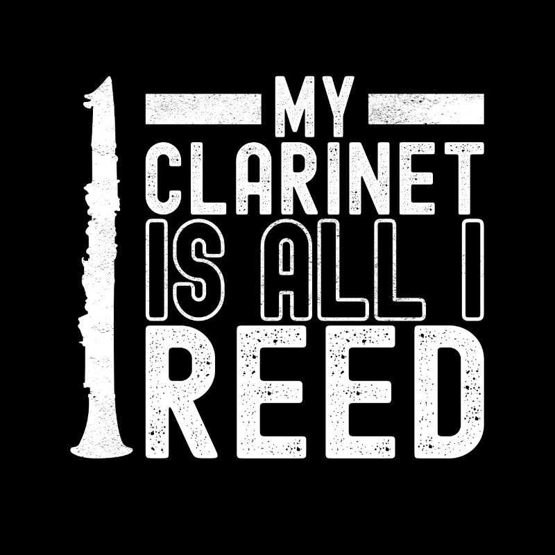 Clarinet Wind Instrument Clarinet player