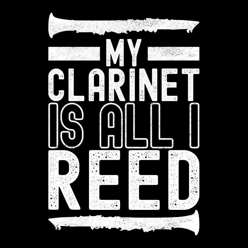 Clarinet Wind Instrument Clarinet player