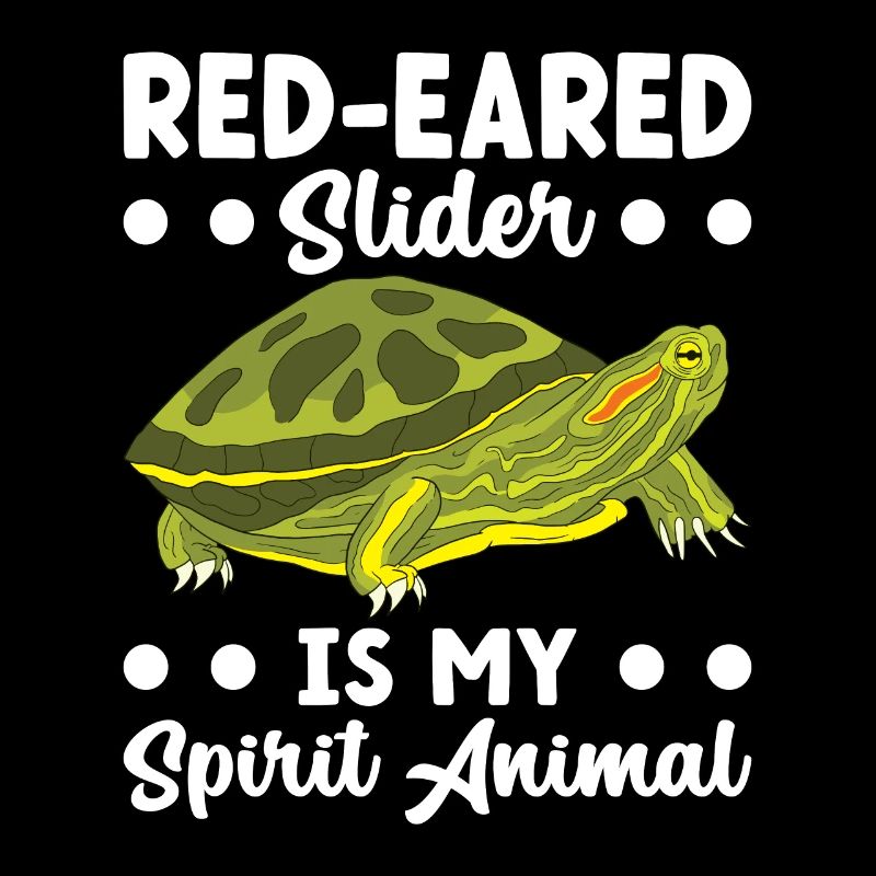 Turtle Red-eared Turtle