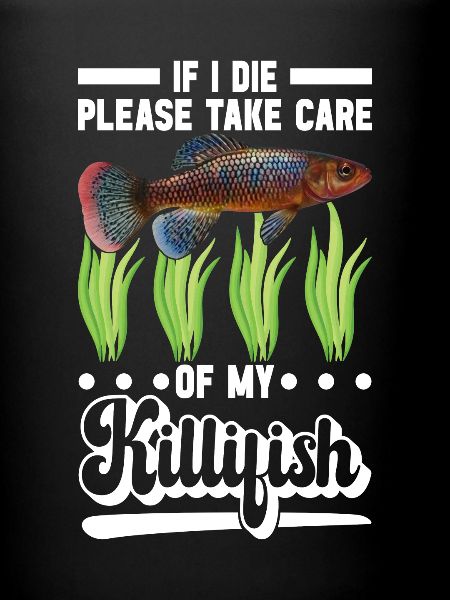 Killifish Quarium Fish