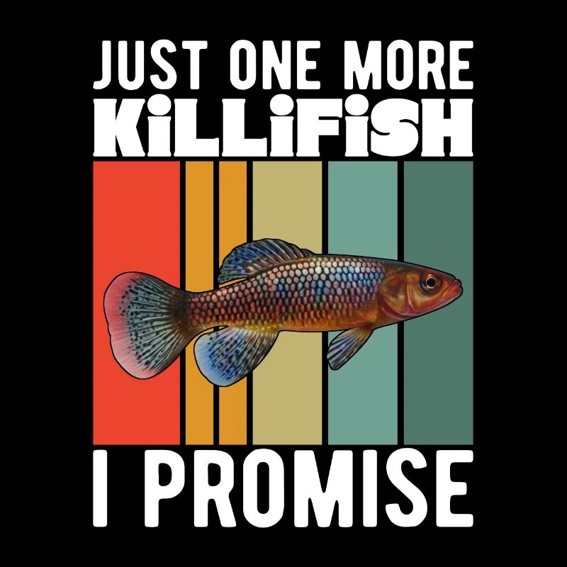 Killifish Quarium Fish