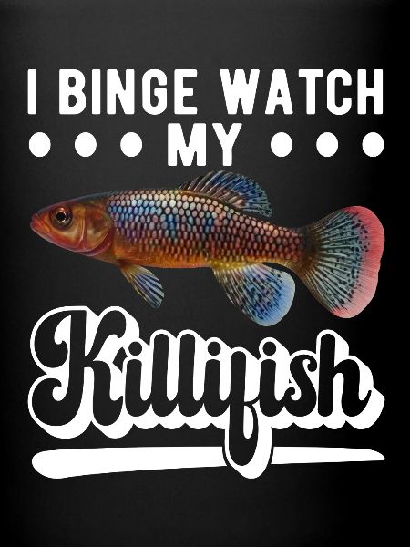 Killifish Quarium Fish