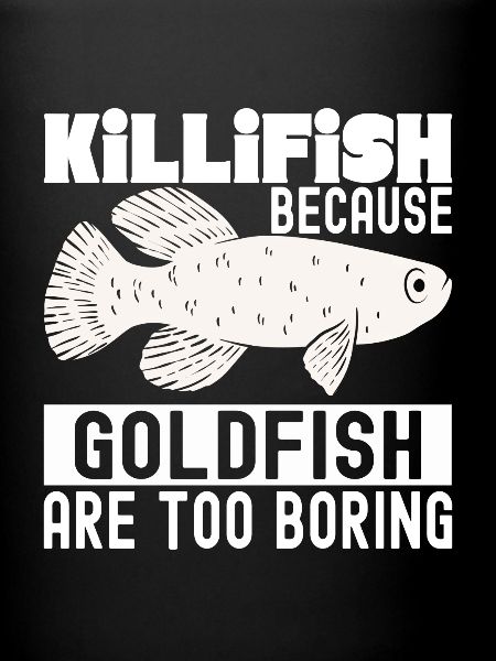 Killifish Quarium Fish