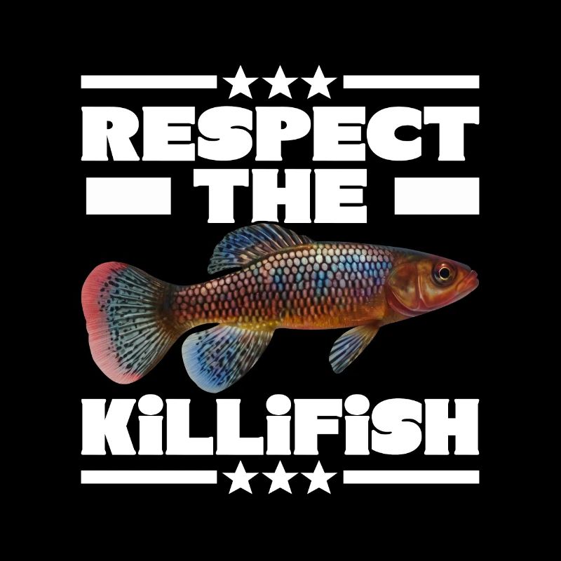 Killifish Quarium Fish