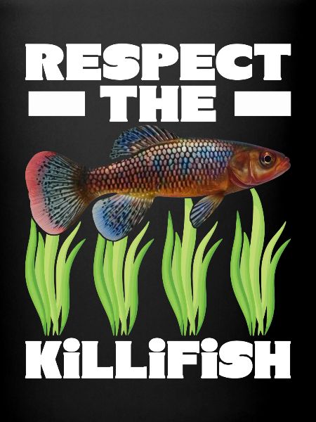 Killifish Quarium Fish