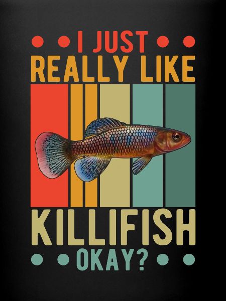Killifish Quarium Fish