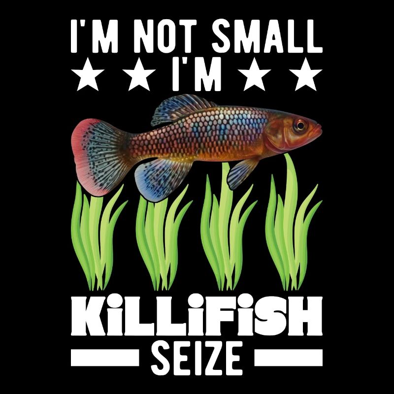 Killifish Quarium Fish