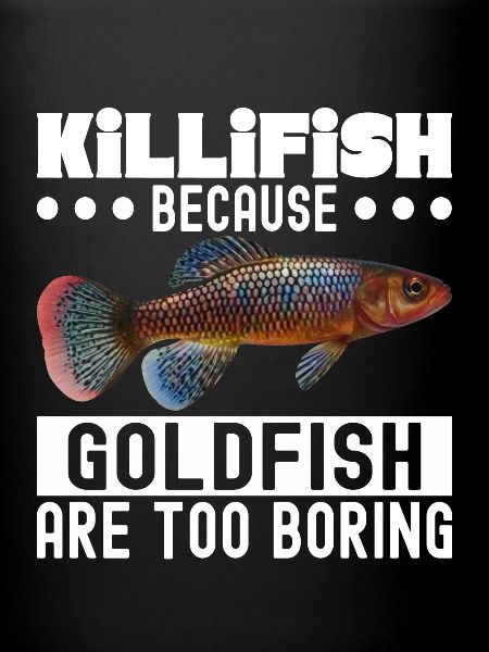 Killifish Quarium Fish