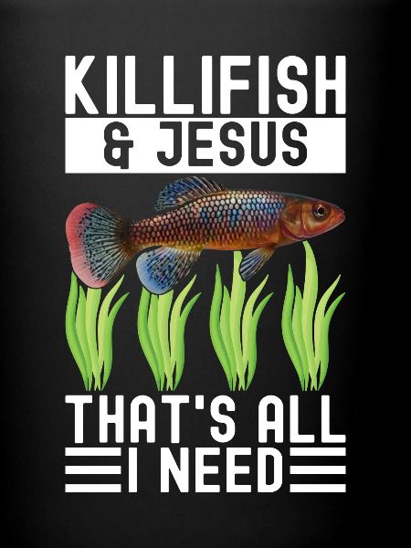 Killifish Quarium Fish
