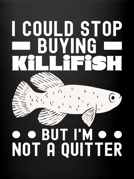 Killifish Quarium Fish