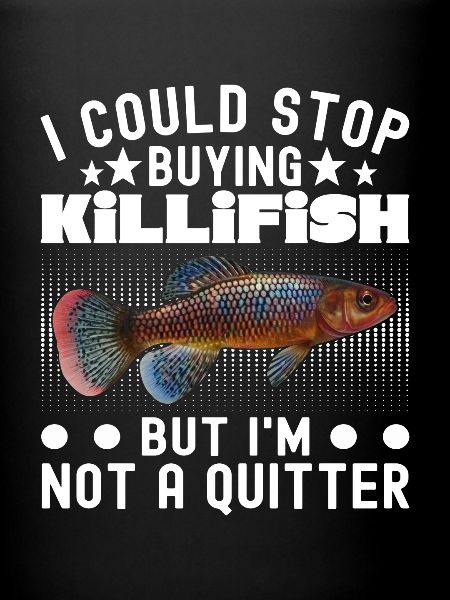 Killifish Quarium Fish