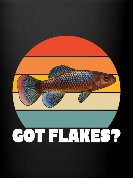 Killifish Quarium Fish