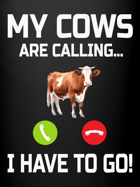 Vache Vaches