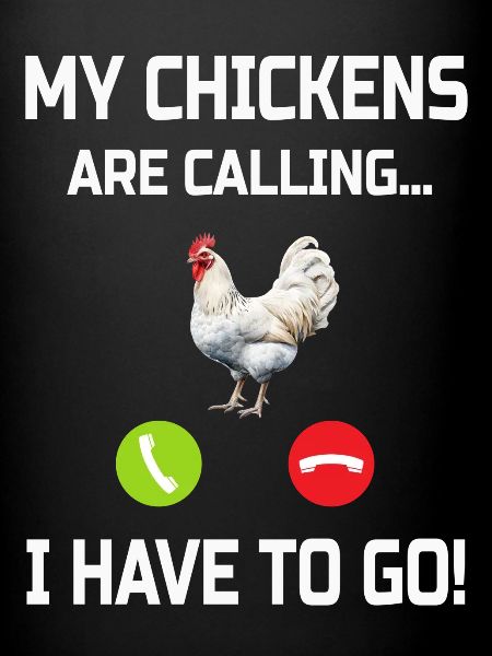 Poulets Poulets
