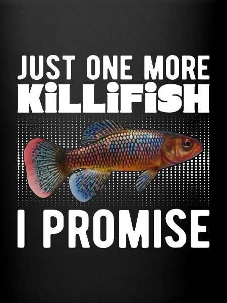 Killifisch Aquarium Fischliebhaber
