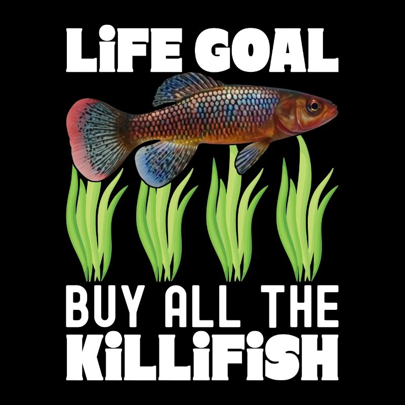 Killifisch Aquarium Fish Lovers