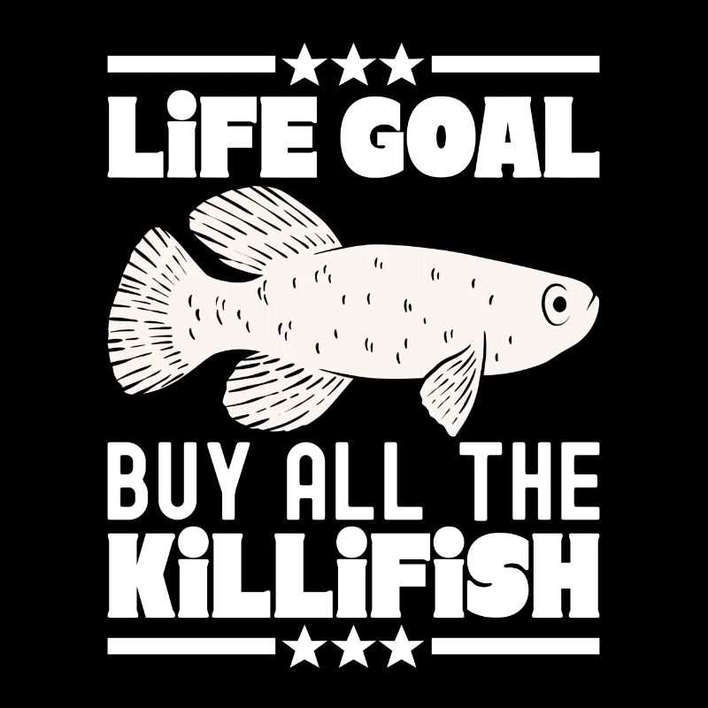 Killifisch Aquarium Fish Lovers