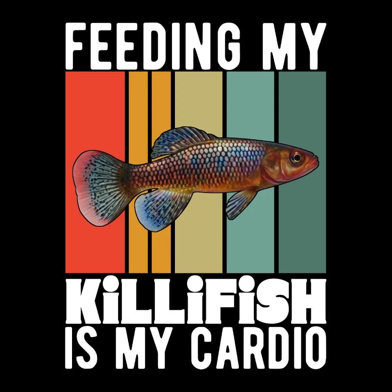 Killifish Oeuf Tooth Donut Aquarium