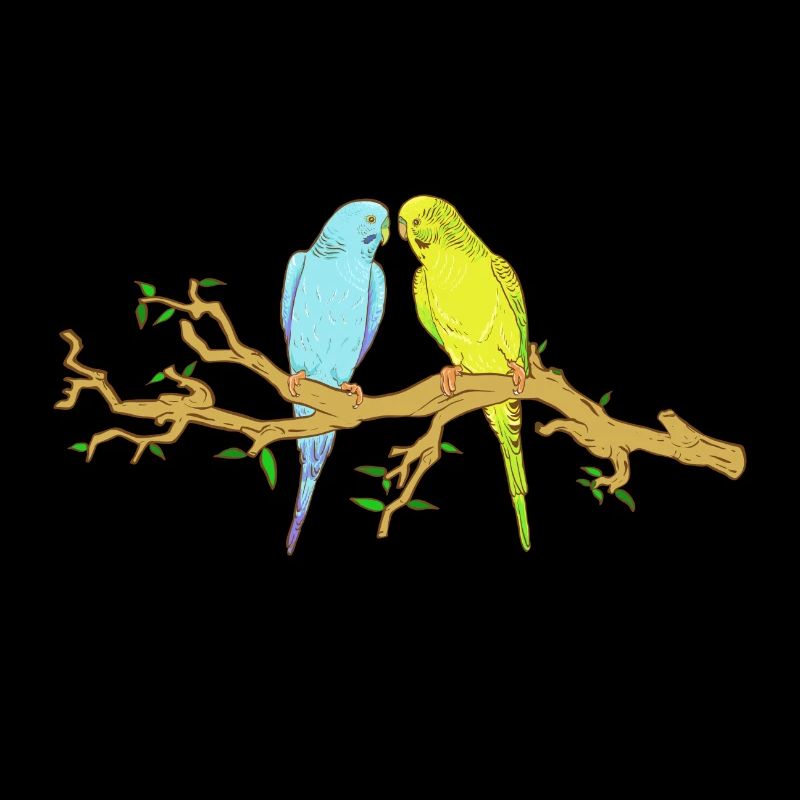 budgies