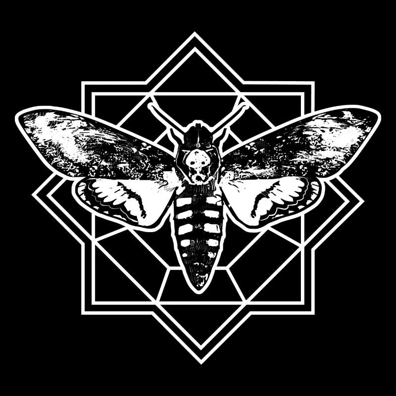 Moth butterfly insect triangle nature forest