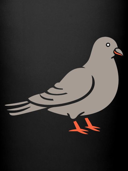 pigeon