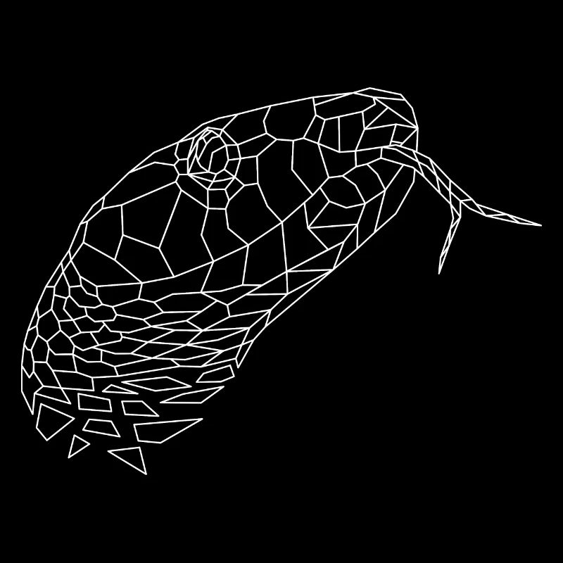 Serpent géométrique