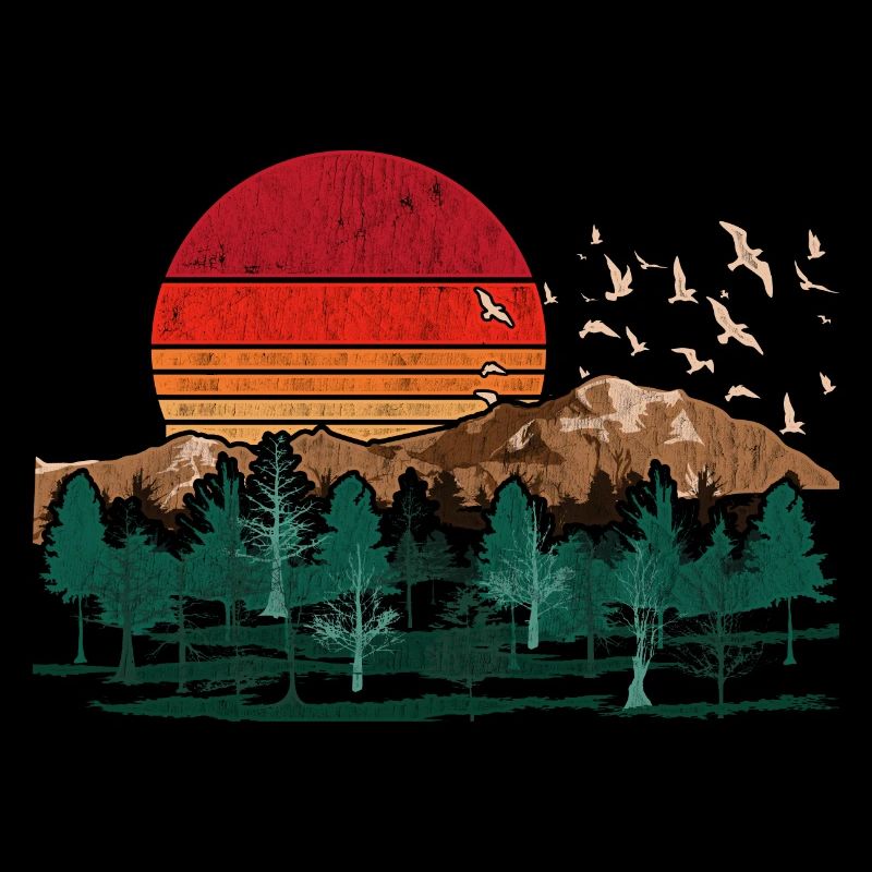 Forêt, Arbres, Oiseaux, Rétro, Coucher de soleil, Nature