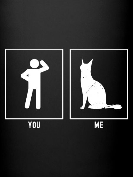 Vous - I - Chat stylisé