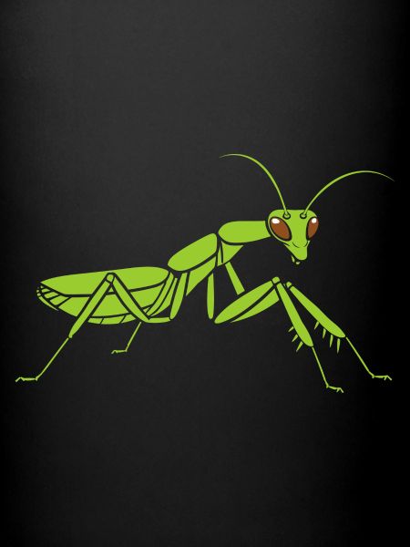 Praying mantis