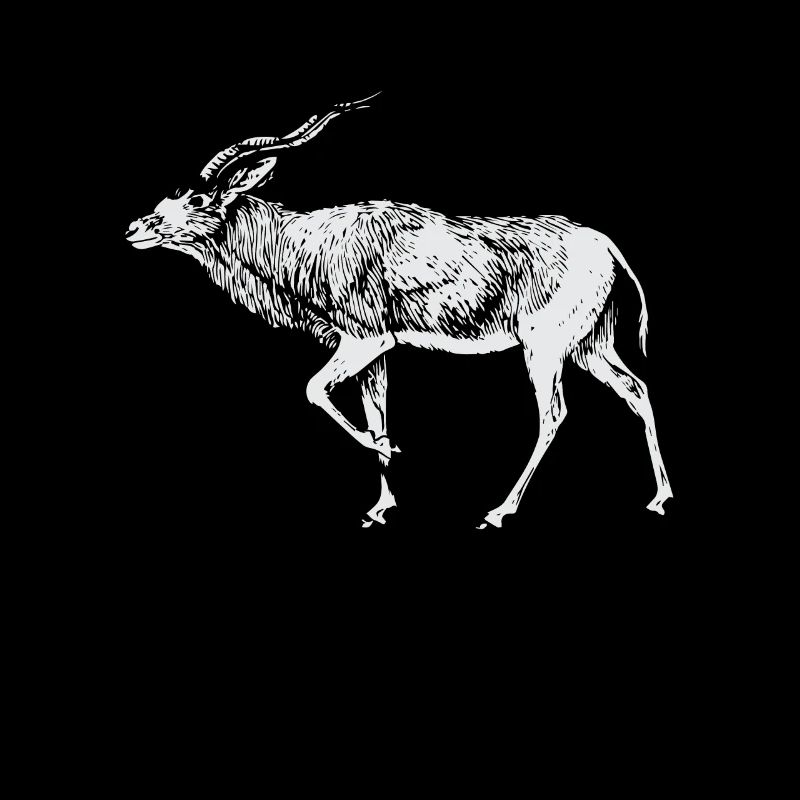 Bronntanas Ainmhithe Addax