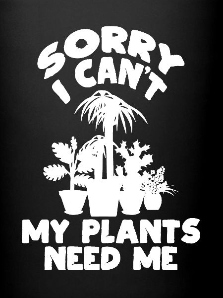 Mes plantes