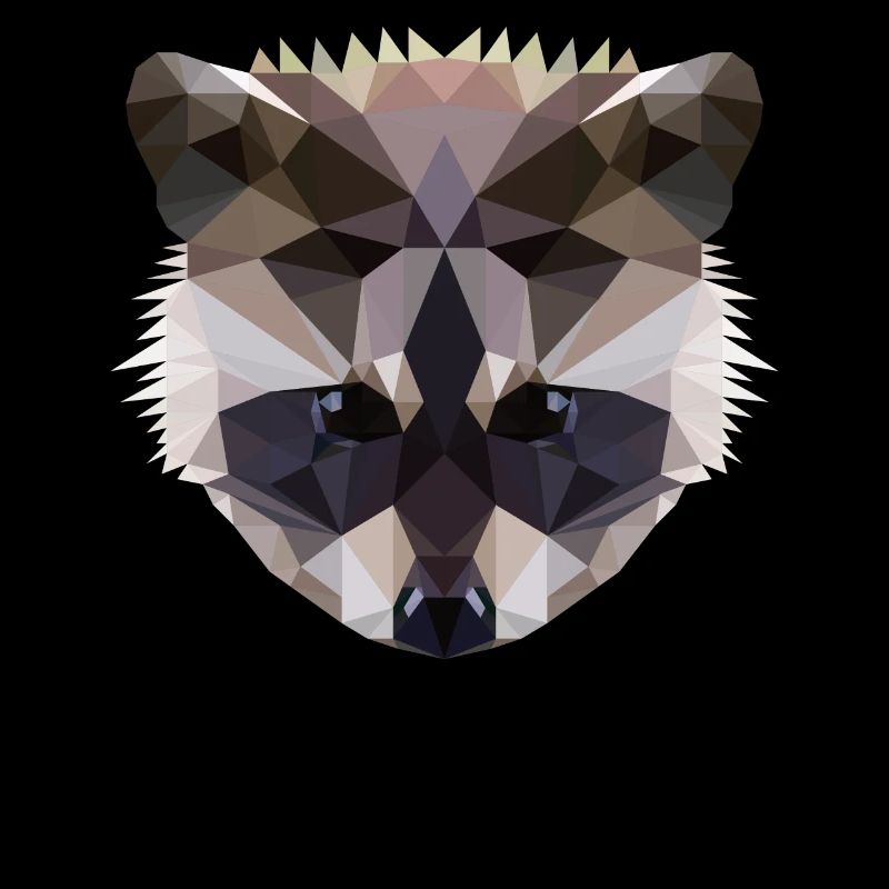 Polygon Waschbaer Racoon