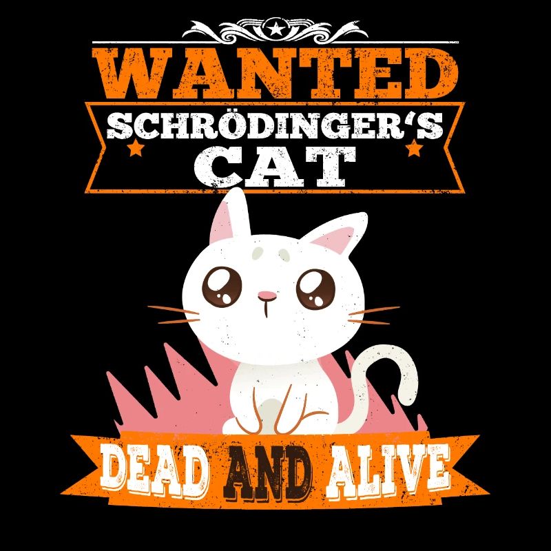 Le chat de Schrödinger chat mignon physique quantique
