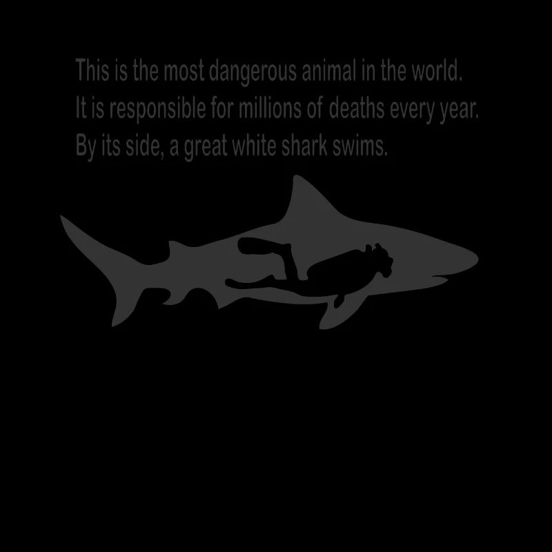 Requin blanc