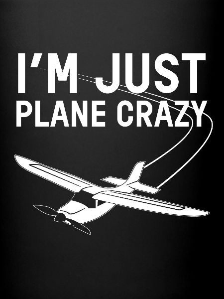 Avion fou