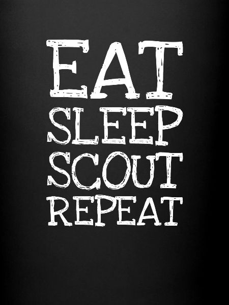 Manger sommeil scout répéter