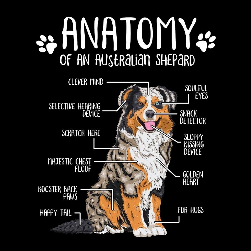 Cadeau de propriétaire de chien d'anatomie de berger australien