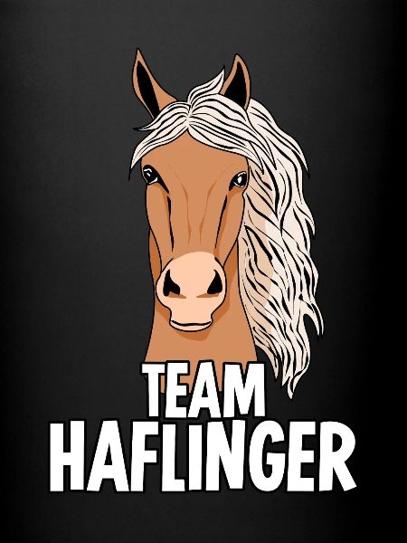 Haflinger Team Haflingers