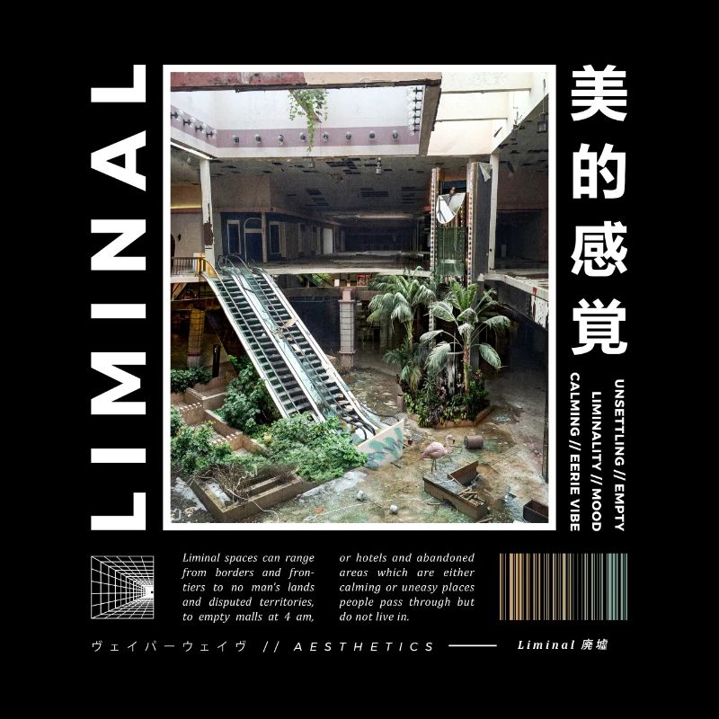 Liminal Spaces Rétro 80s & 90s Esthétique Vaporwave