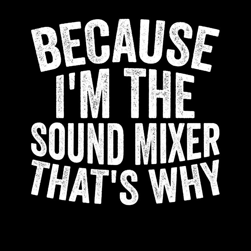 Parce que je suis un mixeur de son