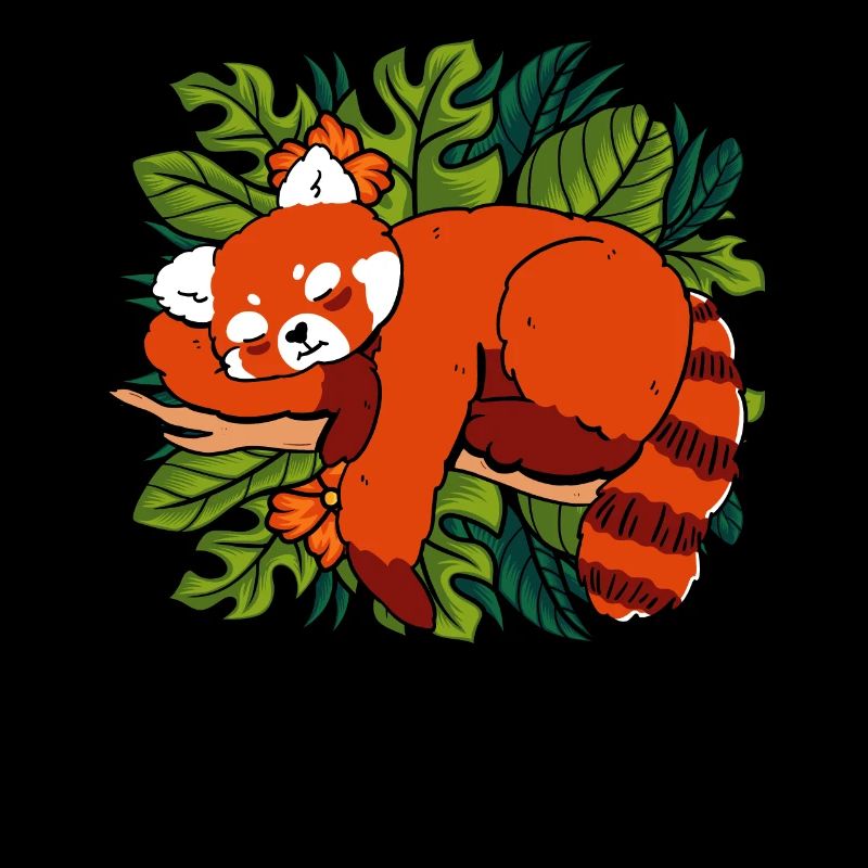 Chat Ours Petit Panda