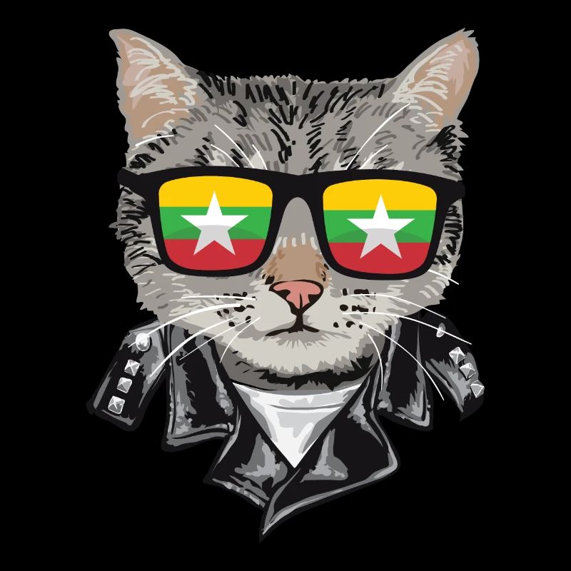 Lunettes de soleil pour chat avec drapeau du Myanmar