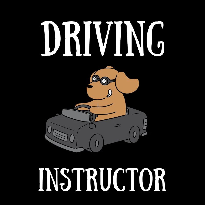 Driving Instructor Driver Car Parking Exam Driving