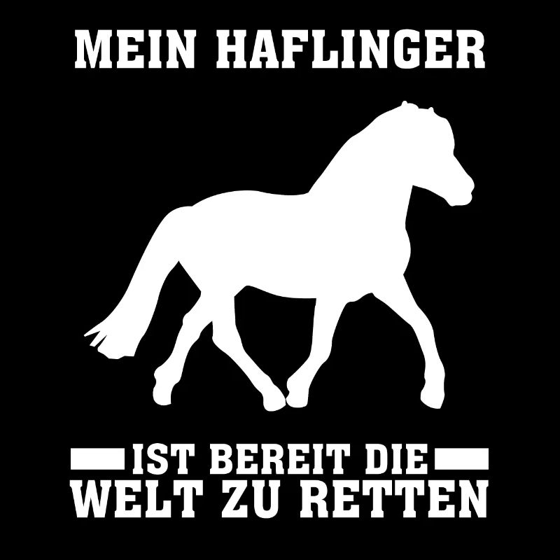 Haflinger Reiten
