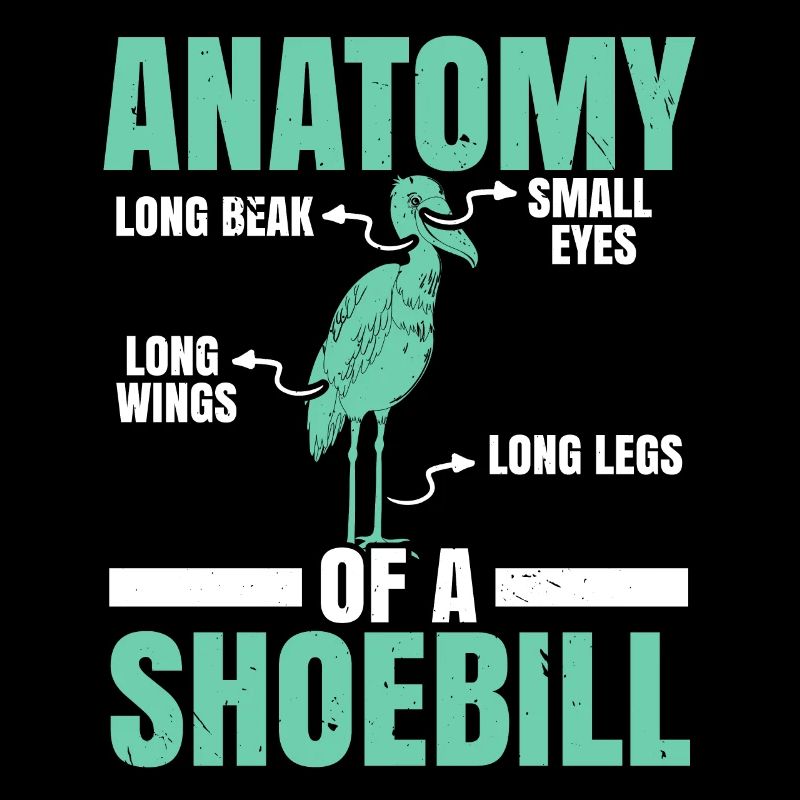 Anatomie eines Schuhschnabel-Storchs Walfischkopf-