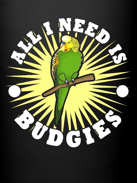 Perruche Perruche Budgerigar