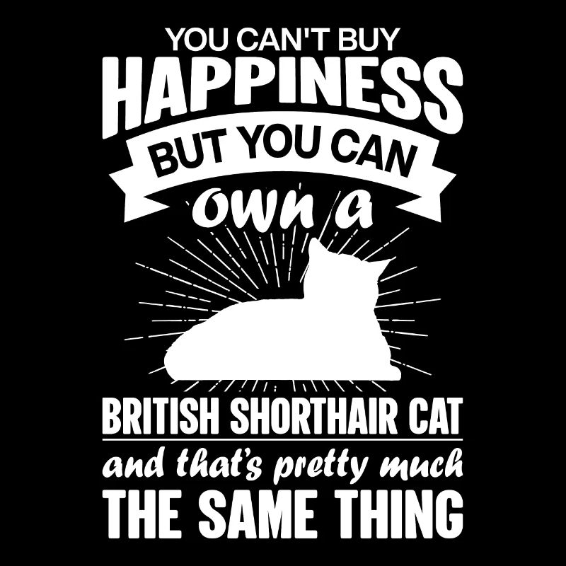 Peut acheter un chat british shorthair