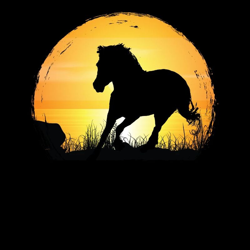Coucher de soleil - Grade Horse